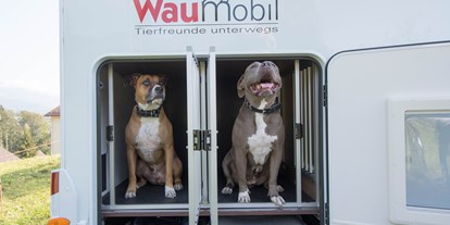 Anbieter - Fahrzeugtypen: Wohnmobil - Mogelsberg - Auch Hunde fühlen sich wohl - Eschis Mobil und Freizeit