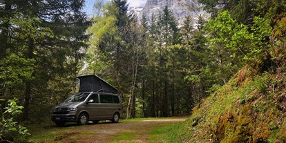 Anbieter - PLZ 8047 (Schweiz) - VW Bulli California | feriencamper - feriencamper