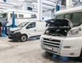 Wohnmobile: Nutzfahrzeug Werkstatt für Wohnmobile aller Marken - Hammer Auto Center AG