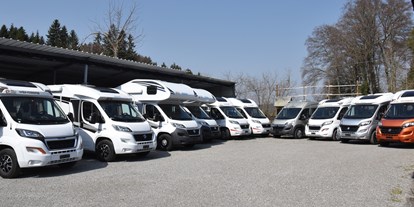 Anbieter - Fahrzeugarten: Mietfahrzeuge - Luzern - Dahinden Wohnmobile AG